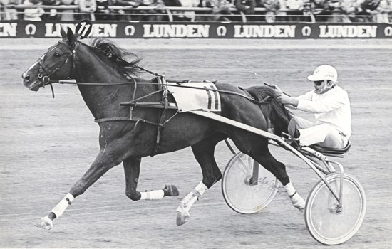 Tarok og Jørn Laursen var op gennem 1970'erne dansk travsports suverænt bedste hest.
