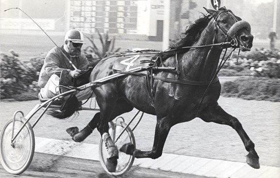 My Nevele og Walther Kaiser Hansen kendte vejen til målstregen. Hele 57 sejre tog hesten i løbet af karrieren.