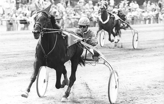 Da Steen Juul i 1993 vandt Dansk Trav Derby med Rudolf Le Ann, satte hesten en derbyrekord, der efterfølgende holdt i 15 år.