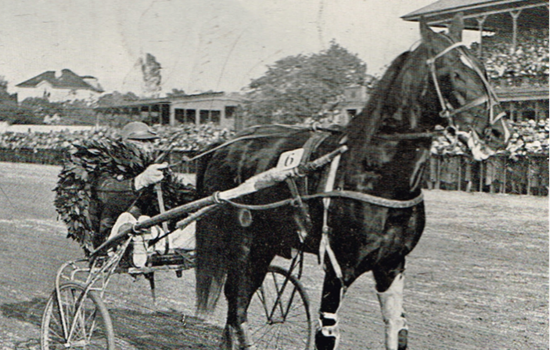 Alabama Bond-datteren Kim vandt i 1929 Dansk Trav Derby med Niels Jan Koster i sulkyen. Den fik noteret tiden 1.31,7.