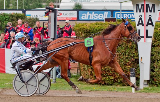 Local Conch med Flemming Jensen skærer målstregen som vinder af Sweden Cup 2011 på Solvalla i tiden 1.10,0. Foto: Burt Seeger.