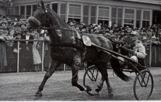 Sonny Diamond på æresrunde på Charlottenlund Travbane efter sejren i Skandinavisk Mesterskab 1938.