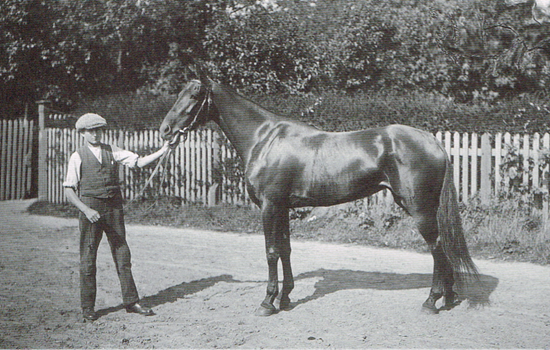 Julius Pajonceks derbyvinder fra 1906, Miss Refero. Hoppen var opdrættet af forpagter Willads Olsen fra Lyngby, men moderen Missie var indført af Pajoncek, og han købte Miss Refero af Willads Olsen og solgte hoppen senere til Alkemade.