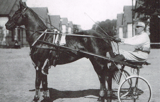Holger Fischmann fotograferet ved staldene på Charlottenlund Travbane. Hesten menes at være derbyvinderen fra 1919, Union Boy.