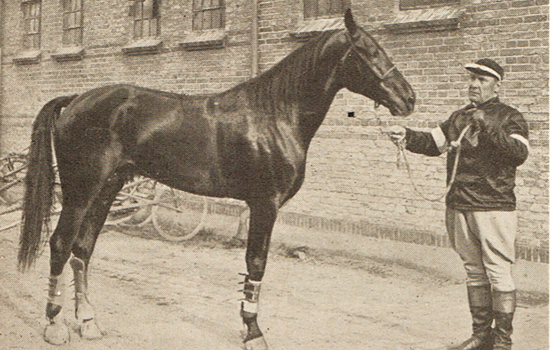 Paul Groch med derbyvinderen fra 1932, Jim Bingen.