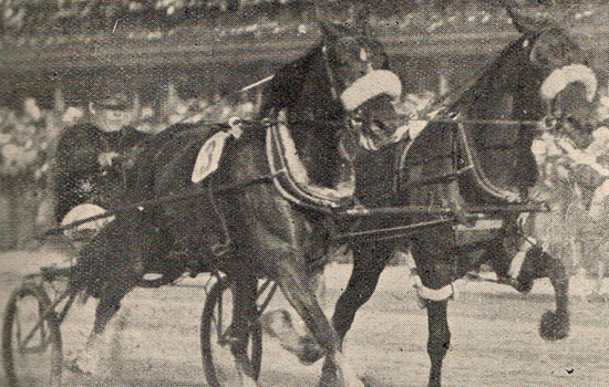 Udover en række storløbssejre deltog Sofus Sørensen også i andre opgør. Her vinder han et af de sjældne tospandsløb med Calumet Darius og Raphia. Her fotograferet i 1934.