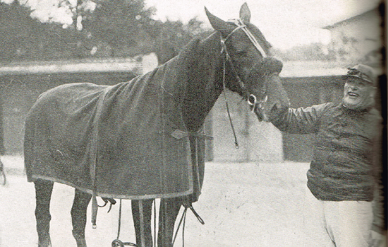 Addison skaffede med sine mange sejre Sofus Sørensen det ottende og sidste championat på 60 sejre i 1937.
