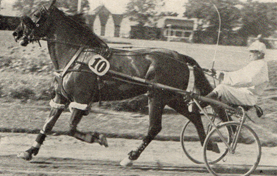 Triple Crown-vinderen Aerolit med Hans Hansen i en karakteristisk stilling i sulkyen.