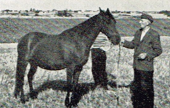 Cita fotograferet med sin ejer Svend Andersen i Tjæreby i 1956.