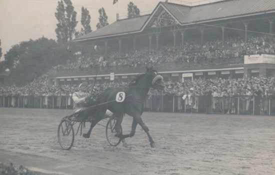 Den klart største sejr i Poul Stripps karriere kom i 1948, hvor han vandt Dansk Trav Derby i par med Jolly.