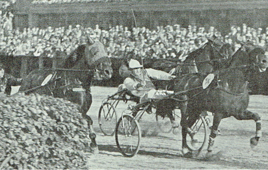 Rex the Great vinder Mesterskab for Danmark i 1937 foran Addison og Styrmand.