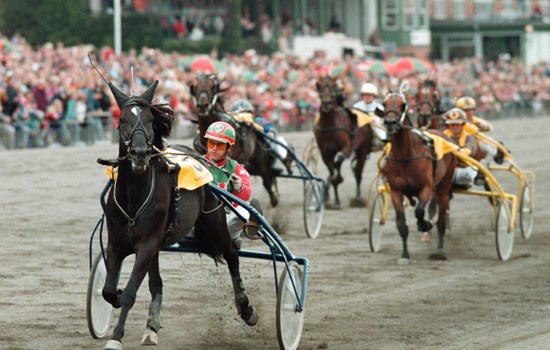 Rudolf Le Ann vinder Dansk Trav Derby 1993 i verdensrekordnoteringen 1.15,9a/3000 meter.