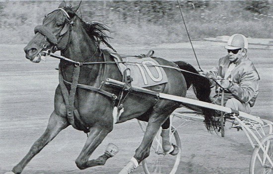 Walther Kaiser-Hansen bag Misty Senator, der ubestridt var sin årgangs bedste som to- og treåring. Som fireåring vandt den Jydsk 4-årings Grand Prix i Aarhus, men svigtede som favorit i derbyet.