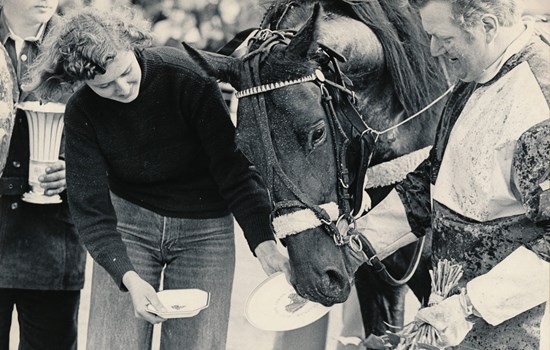 Bison Bogø vandt Dansk Opdrætningsløb 1977 samt flere mesterskaber på Skovbo, Falster og Fyn. Her ses den efter en sejr i et 3-års løb på derbydagen i 1978.