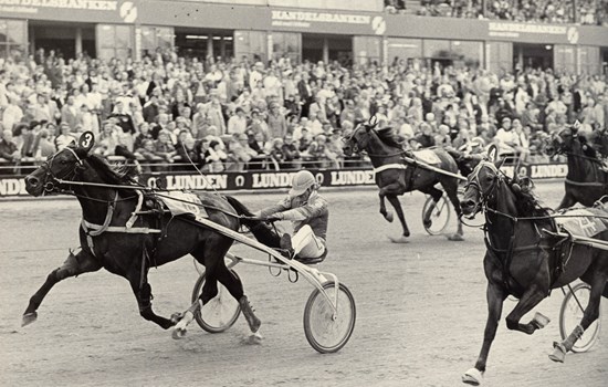 Da Preben Kjærsgaard havde vundet Fireårsstjernen med Adam Paradiso og to andre løb i Charlottenlund 9. juli 1978, tog han et privatfly til Billund og vandt tre ekstra sejre om aftenen. (Foto: Burt Seeger)