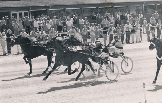 Gordon Dahl (sort kusk midt i banen) vinder med Jørn Laursen-trænede Main Cup på Skive Trav. (Foto: JMJ Foto)