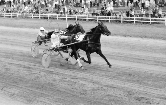 Hele fire gange i løbet af sin karriere vandt Vagn Lønborg Nielsen hjemmebanens største løb, Jydsk 4-årings Grand Prix. Her ved sejren i 1973 bag Prins Fredrik. (Foto: Ole Hindbys fotoarkiv)