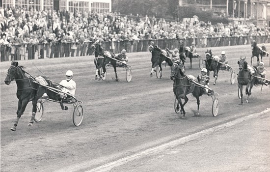 Stald Kimas første store sejr på Charlottenlund Travbane kom i 1974, hvor Aksel Laursen dirigerede Surveyor til en sikker sejr i Dansk Trav Kriterium. (Foto: Burt Seeger)