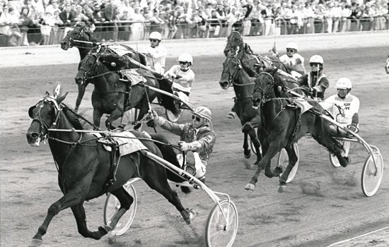 Meadow Roland vinder Copenhagen Cup 1988. (Foto: Burt Seeger)