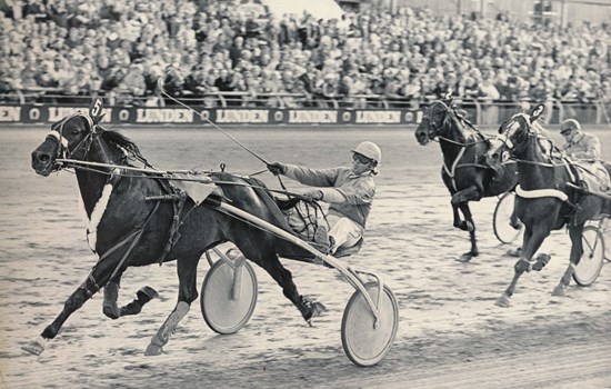 I en halvdårlig bane stred Adam Paradiso helt til stregen, da den i 1978 sikrede Preben Kjærsgaard karrierens første derbysejr. (Foto: Burt Seeger)