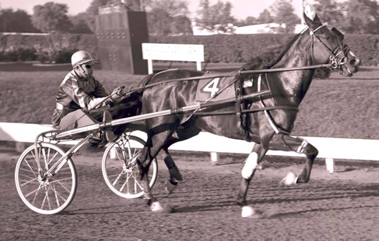 Gennem hele sin aktive karriere var Frosty Hanover i træning hos en af amerikansk travsports største navne gennem tiderne, Stanley Dancer. (Foto: DTC's Fotoarkiv)