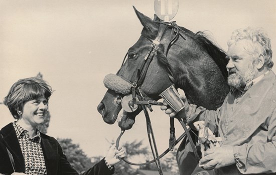 I 1981 overgik My Nevele til avlstjeneste på fuld tid, og han fik hurtigt ret stor søgning blandt de svenske hoppeejere. (Foto: Burt Seeger)