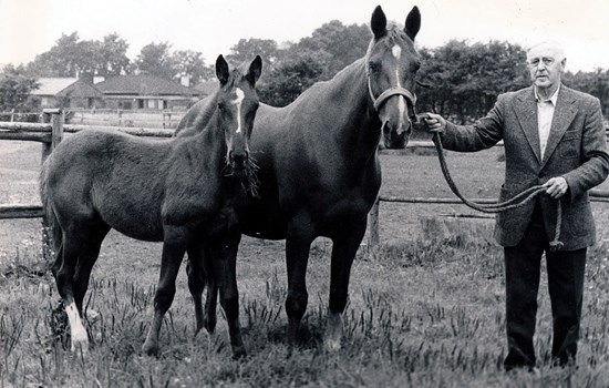 Opdrætter Lars Nødgård med Lilli Hanover og hendes syvende føl, Lord Valentine-datteren Gilli Hanover. (Foto: privat)