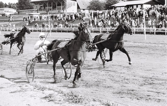 For strakte linier er Napalm med Karl Laursen i sulkyen på vej mod sejren i Jydsk 3-årings Grand Prix 1970. (Foto: Ole Hindbys fotoarkiv)
