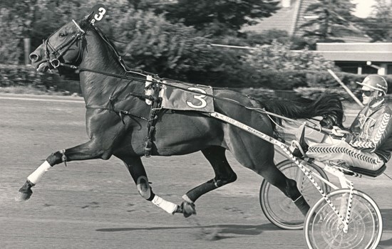 Granit Bangsbo med træner Steen Juul i sulkyen. (Foto: Burt Seeger)