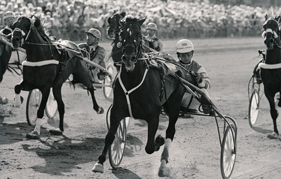 Indus og træner Lars Lindberg skærer målstregen som vinder af Dansk Trav Derby 1986 i tiden 1.17,9a/3000 meter. (Foto: Burt Seeger)