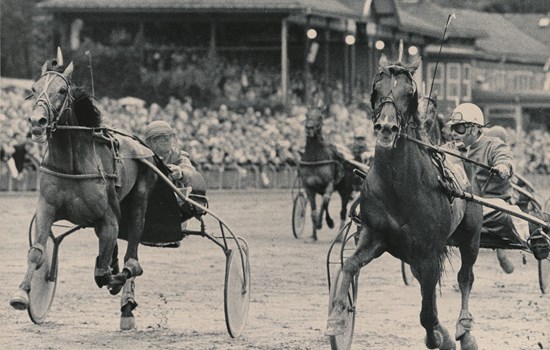 I 1980 fik Pay Dirt sin anden afkomssejr i Dansk Trav Derby, da den nordjyske amatør Ove Andersen førte fra start til mål med sin egen Chianti Pitt. I opløbet afviste parret sikkert favoritten Calpam med Sven Österblom. (Foto: Burt Seeger)