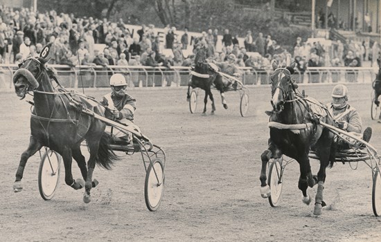 Eik Hvetbo med amatørkusken Pauli Andersen i sulkyen spurter forbi Ellizar H. og vinder Dansk Opdrætningsløb 1980. (Foto: Burt Seeger)