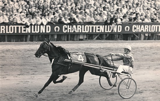 Frosty Hanover-sønnen Max Hanover går frem til sejr i Dansk Trav Derby 1970 med træner Børge Simonsen i sulkyen. (Foto: Burt Seeger)
