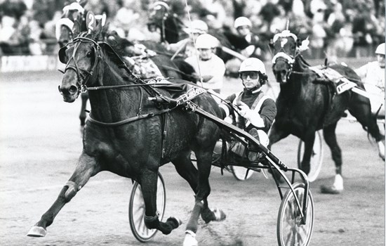 Tophoppen Nealy Lobell vinder N.J. Koster Memorial 1989. Det var hendes anden sejr i løbet. I sulkyen sad Johnny Takter. (Foto: Burt Seeger)