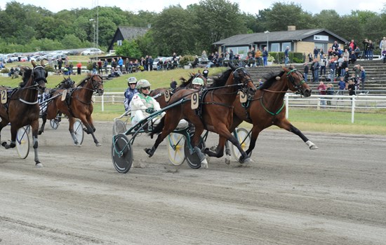 Efter en hård opløbsduel vinder Dusty Shadow Jydsk 4-årings Hoppe Grand Prix 2019 for sin træner Jeppe Juel. Andenpladsen gik til Destiny med Henrik Lønborg. (Foto: Ole Hindby)