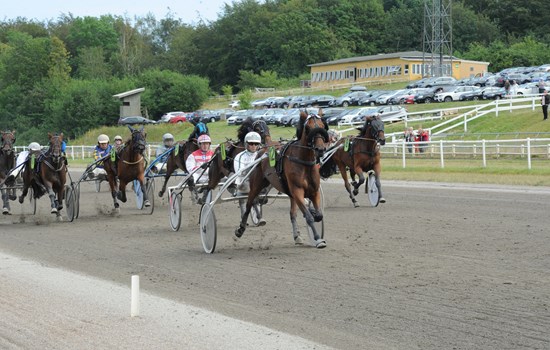 Eenymeenyminymoe med Flemming Jensen vinder Jydsk 3-årings Hoppe Grand Prix 2019. (Foto: Ole Hindby)