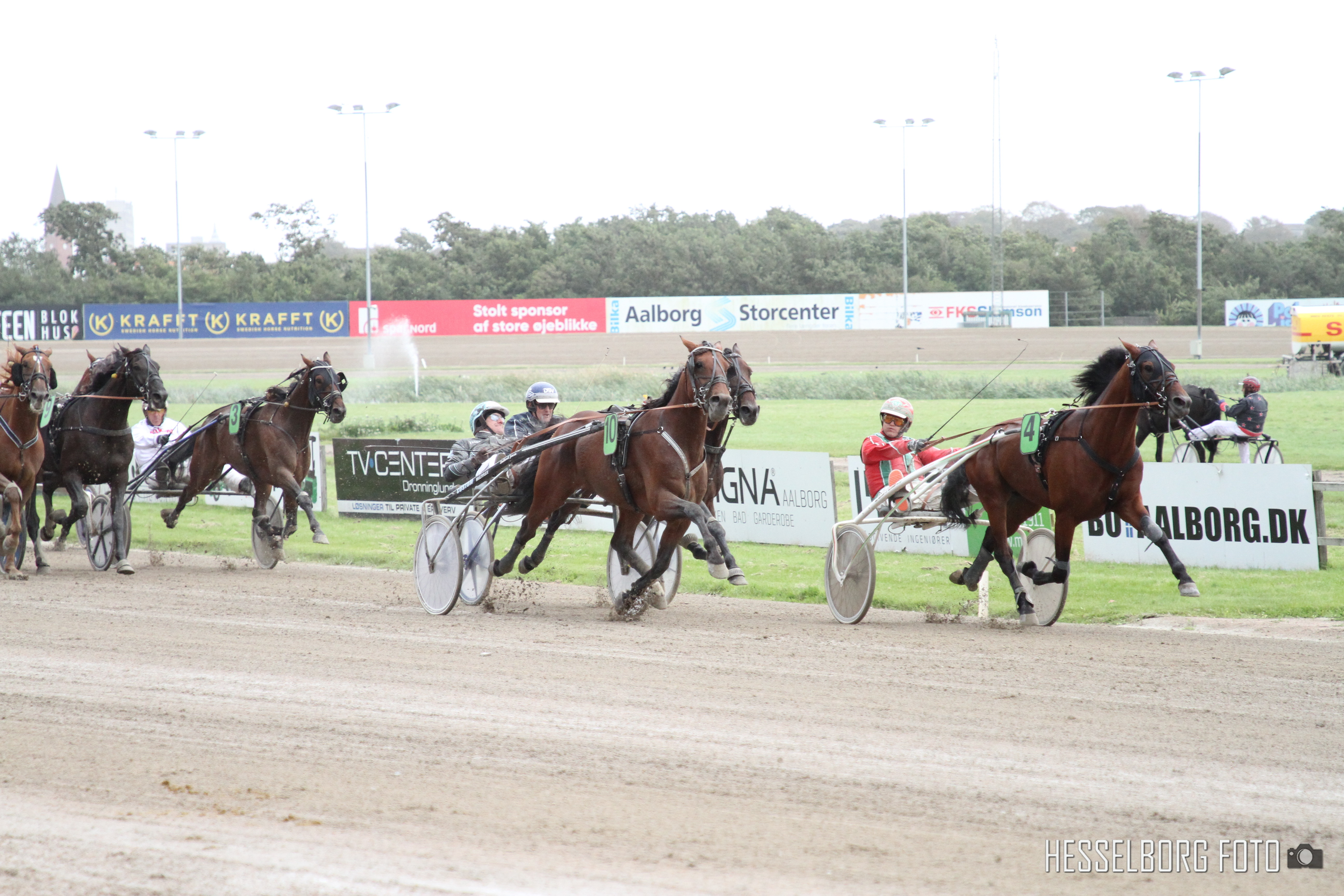 Steen Juul-trænede Daytona galoperede som førende i Dansk Trav Derby. Den fik dog revanchen i 2019-udgaven af Aalborg Store Pris. (Foto: Hesselborg Foto)