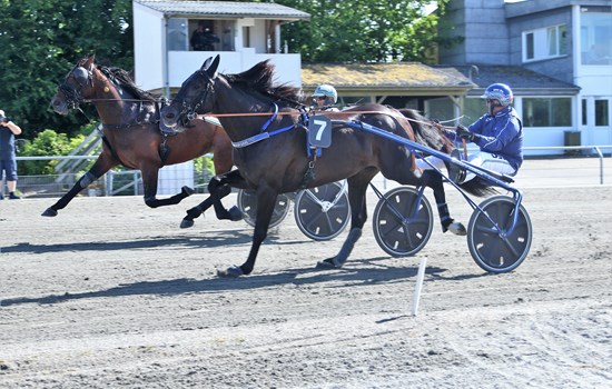 I 2020 kunne målfotoet ikke skille E Type Cash med Gordon Dahl og Emoji med Flemming Jensen i kampen om sejren i Frosty Hanovers Mindeløb. (Foto: KM Foto)
