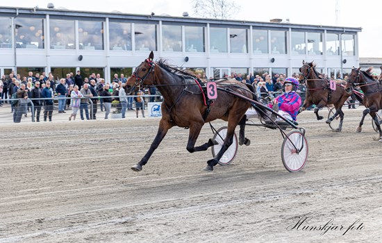 Den hollandske kusk Robin Bakker har vundet Pay Dirts Mindeløb hele seks gange med heste trænet af Paul Hagoort. Her ses Father Patrick-sønnen Hurricane, der vandt i 2022. (Foto: Hunskjær Foto)