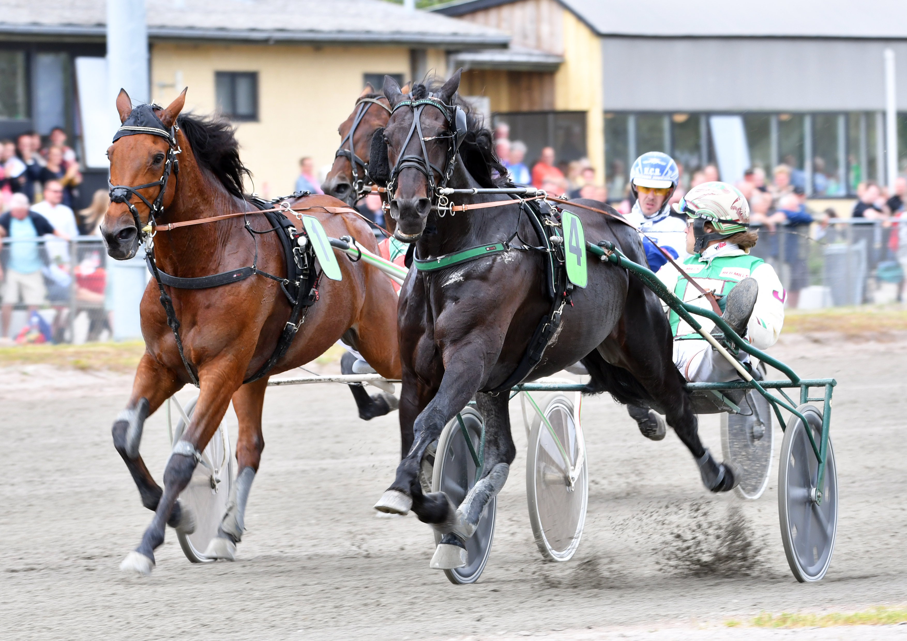 Træner Jeppe Juel har vundet Harald Lunds Mindeløb fem gange. Her vinder han 2019-udgaven med egentrænede Tripolini V P. (Foto: Lasse Jespersen)