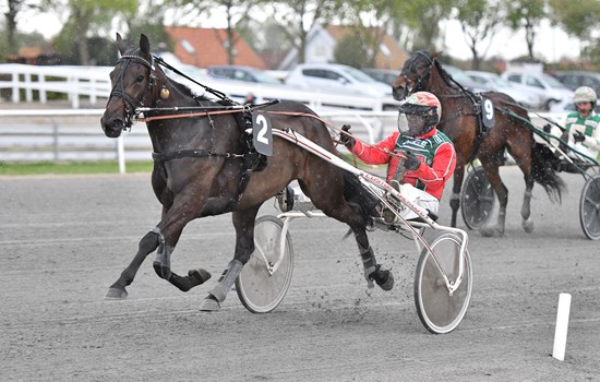 Prodigious-datteren Carna Sensei har som den eneste vundet DM for Hopper to gange. Her ses hun ved sejren i 2019. (Foto: Gorm Foto)