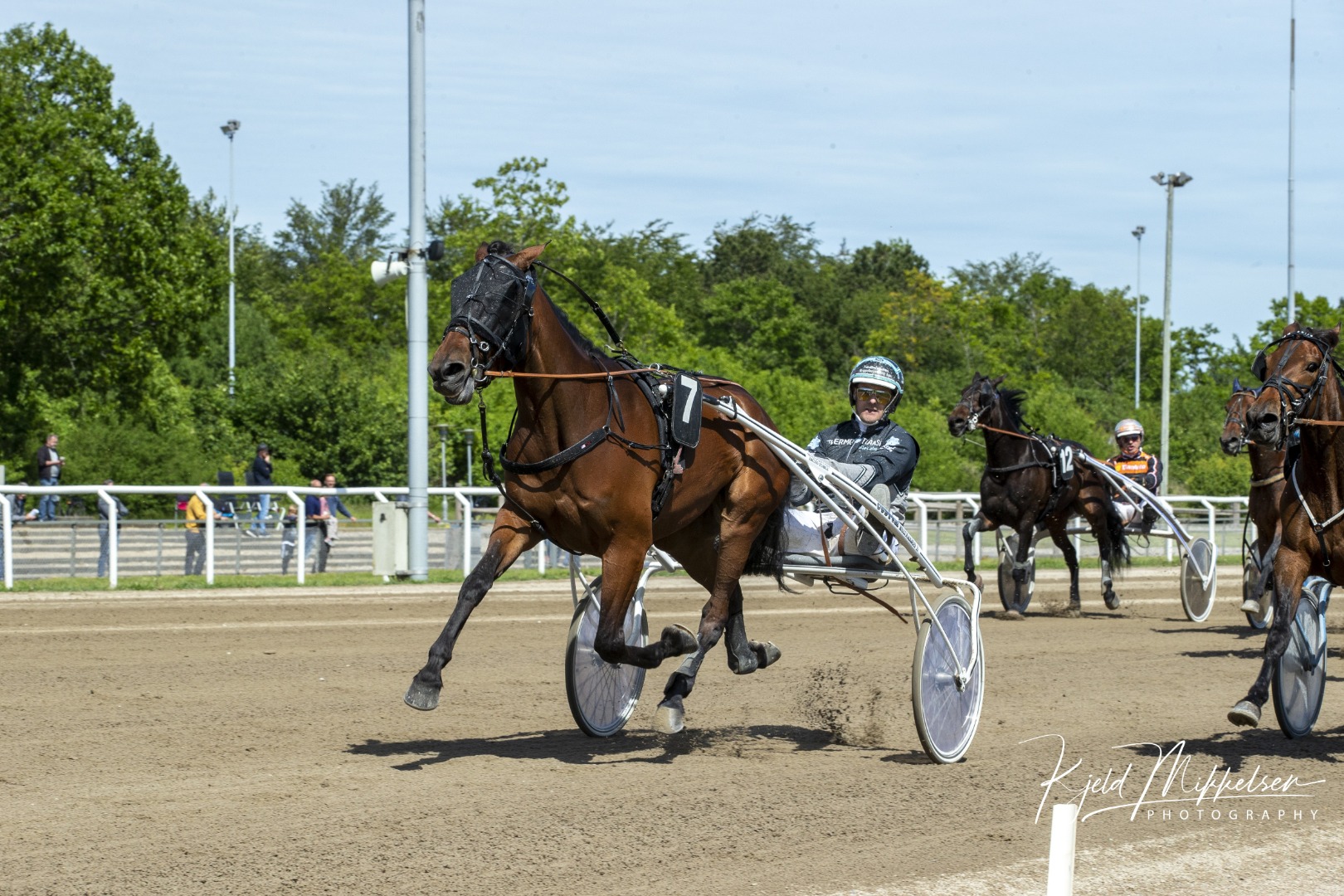 Med amatørtrænede Exclusive Laser kunne René Kjær i 2019 kører først over stregen i Grand Circle 3-års Hoppechampionat. (Foto: Kjeld Mikkelsen)