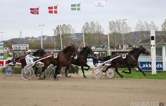 Great Challenger-sønnen Confidence vinder 2018-udgaven af Grand Circle 4-års Championat for hingste/vallakker i par med sin træner Ken Ecce. (Foto: Hesselborg Foto)