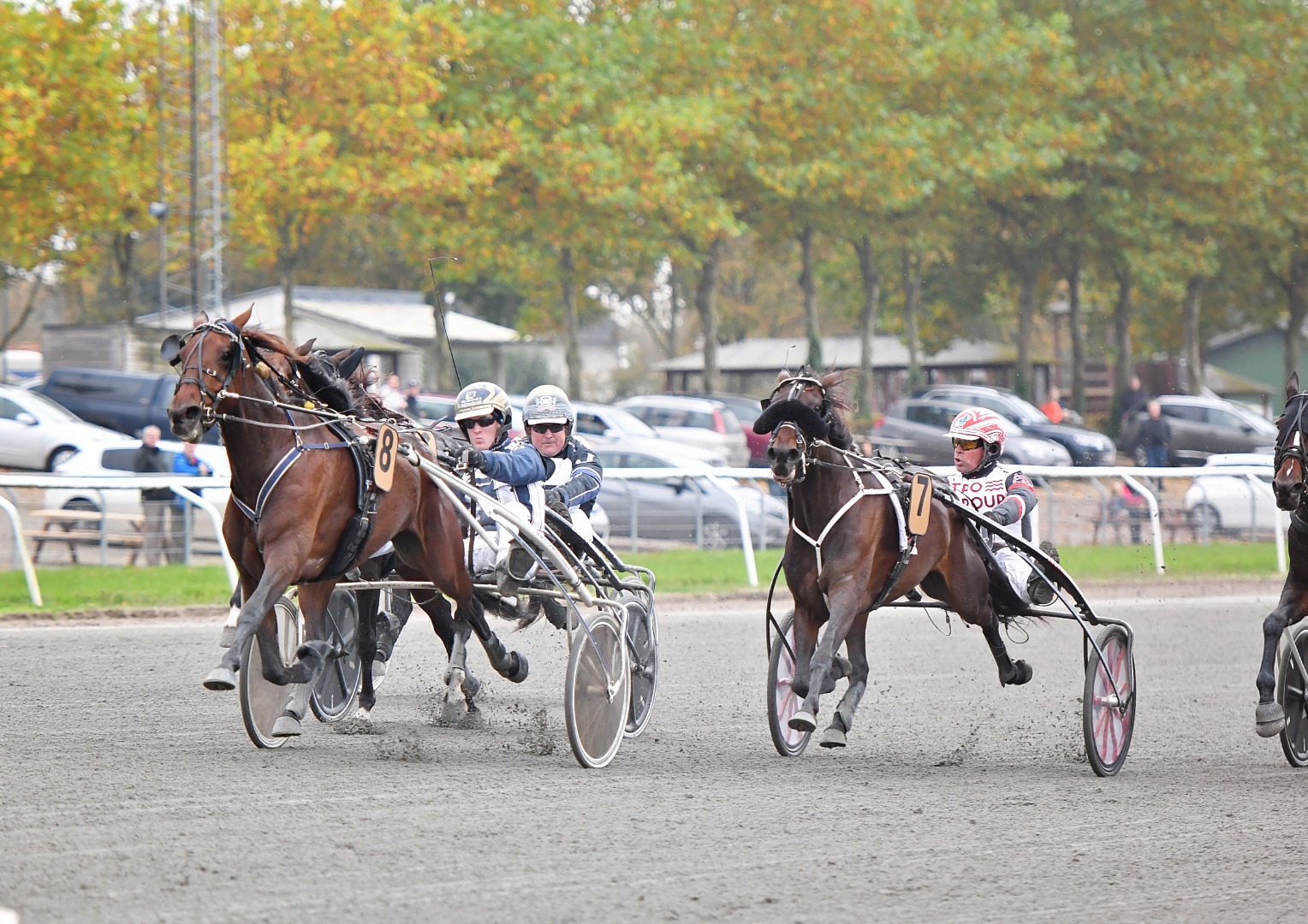 Jeppe Rask-trænede Danielle D D var en af sin årgangs bedste hopper. Karrierens største præmie hentede hun ved sejren i Grand Circle 4-års Hoppechampionat 2019. (Foto: Gorm Johansen)