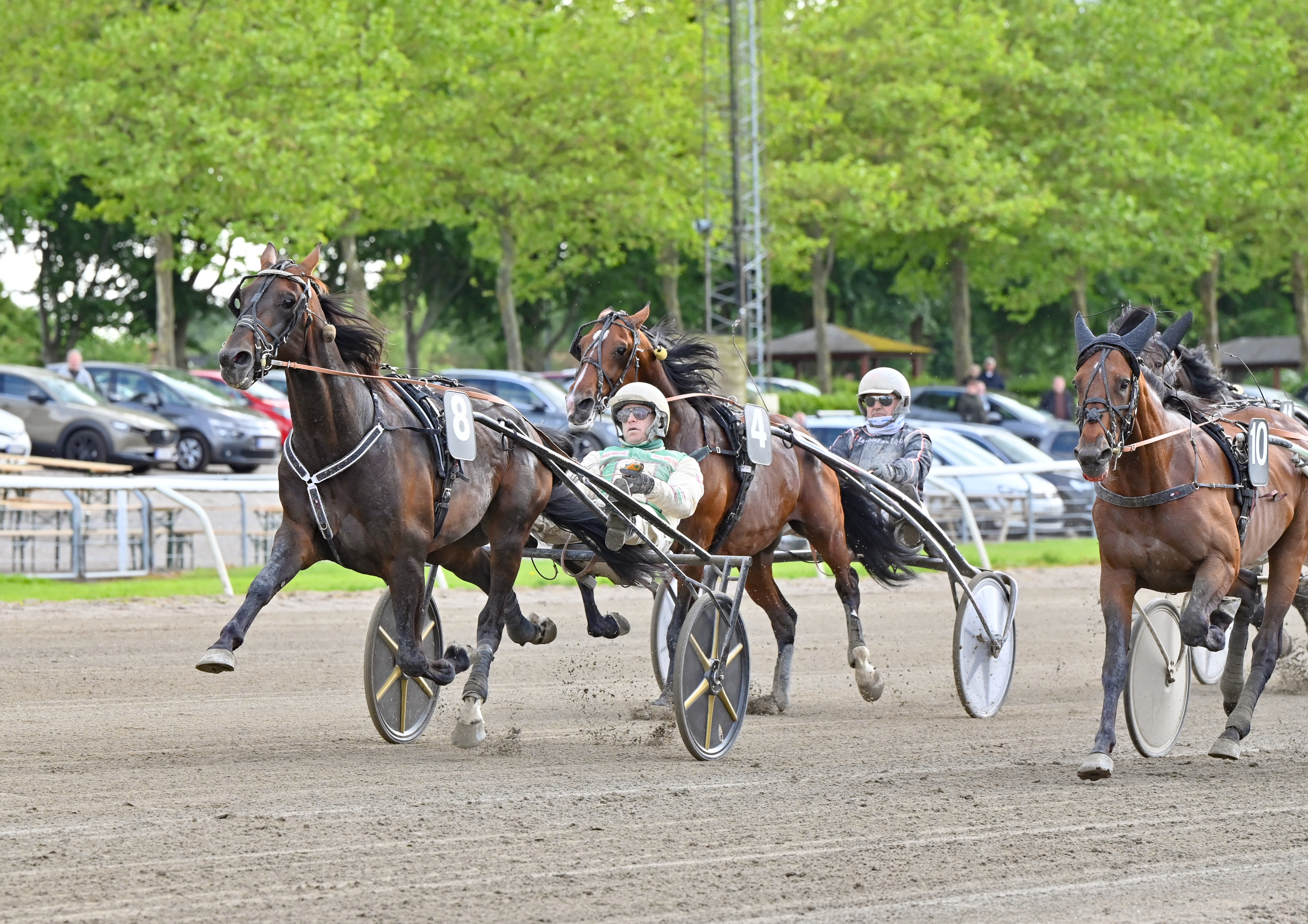 Efter en del års pause blev Grand Circle 5-års Championat for hingste/vallakker genoptaget i 2025. Vinder af denne udgave blev Jørgen Lorentzen-trænede I Can Win Gardenia med Jeppe Juel i sulkyen. (Foto: Gorm Johansen)