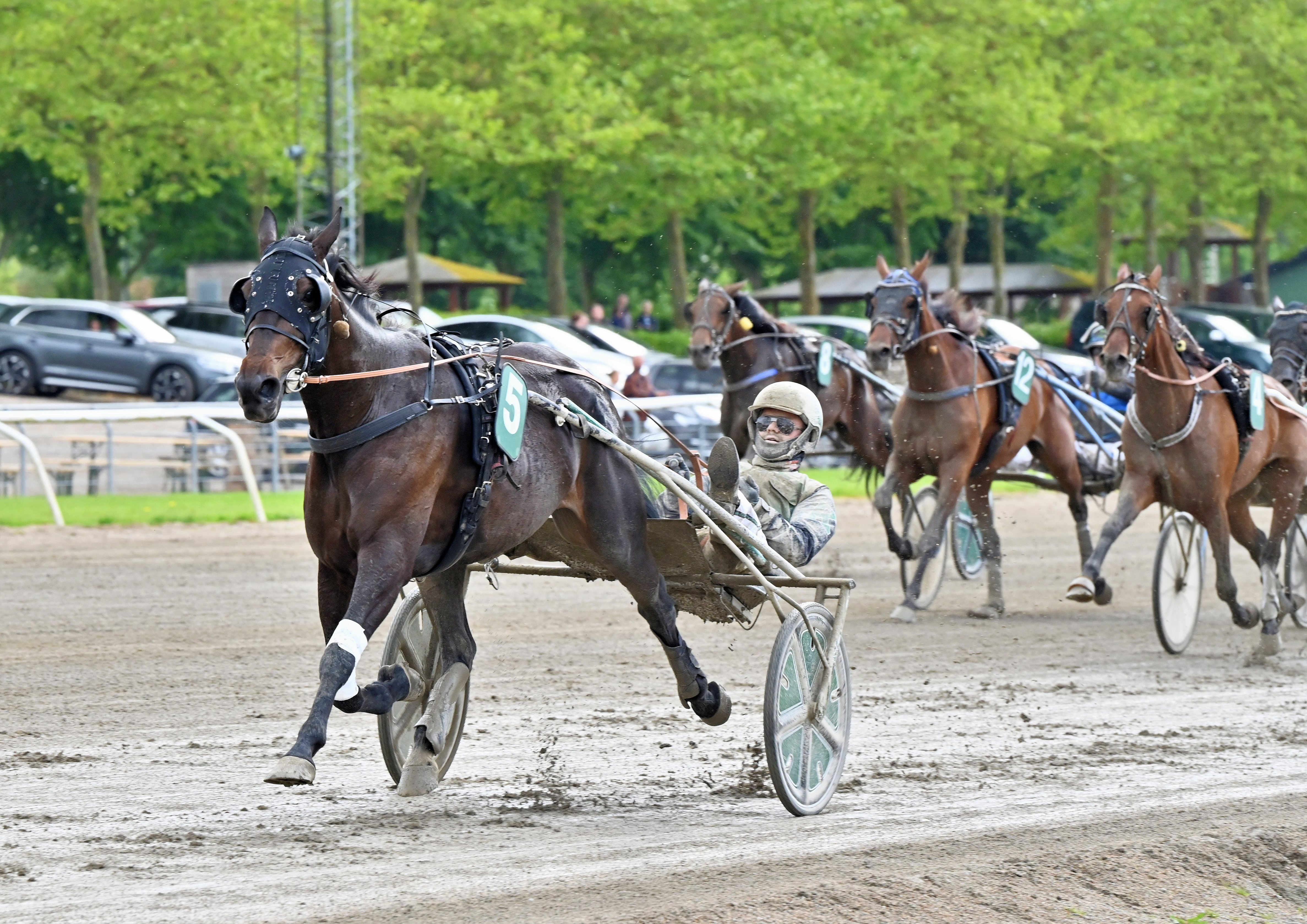 Den norske træner Frode Hamre så rigtigt, da han valgte at sende Ivana Nordic til start i Grand Circle 5-års Hoppechampionat 2025. Hun vandt løbet enkelt i hænderne på gæstekusk Nicklas Korfitsen. (Foto: Gorm Johansen)